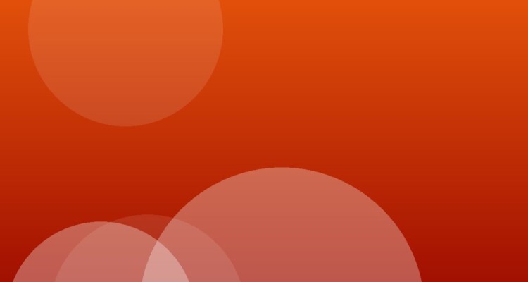 Werkstudent:in IT-Support (Beispiel 4)